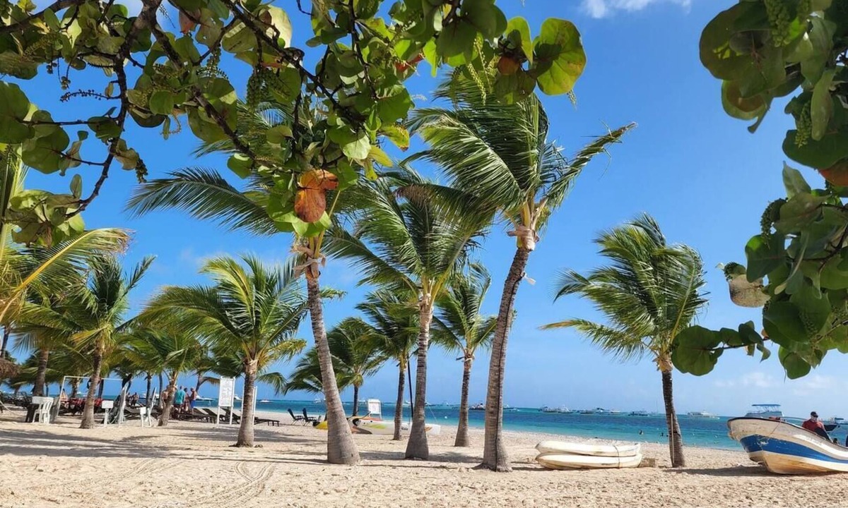 Playa Bibijagua Apartment | 2BR Walk to Beach, Pool, Jacuzzi & Free Parking