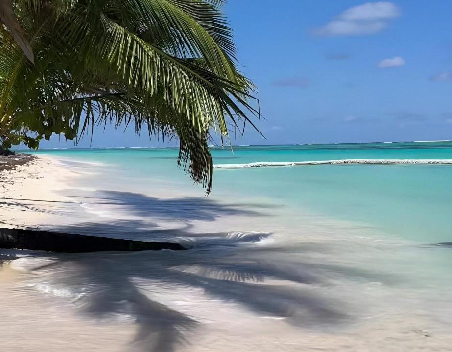 Bavaro Hotel | Aruba Beach Hotel Punta Cana