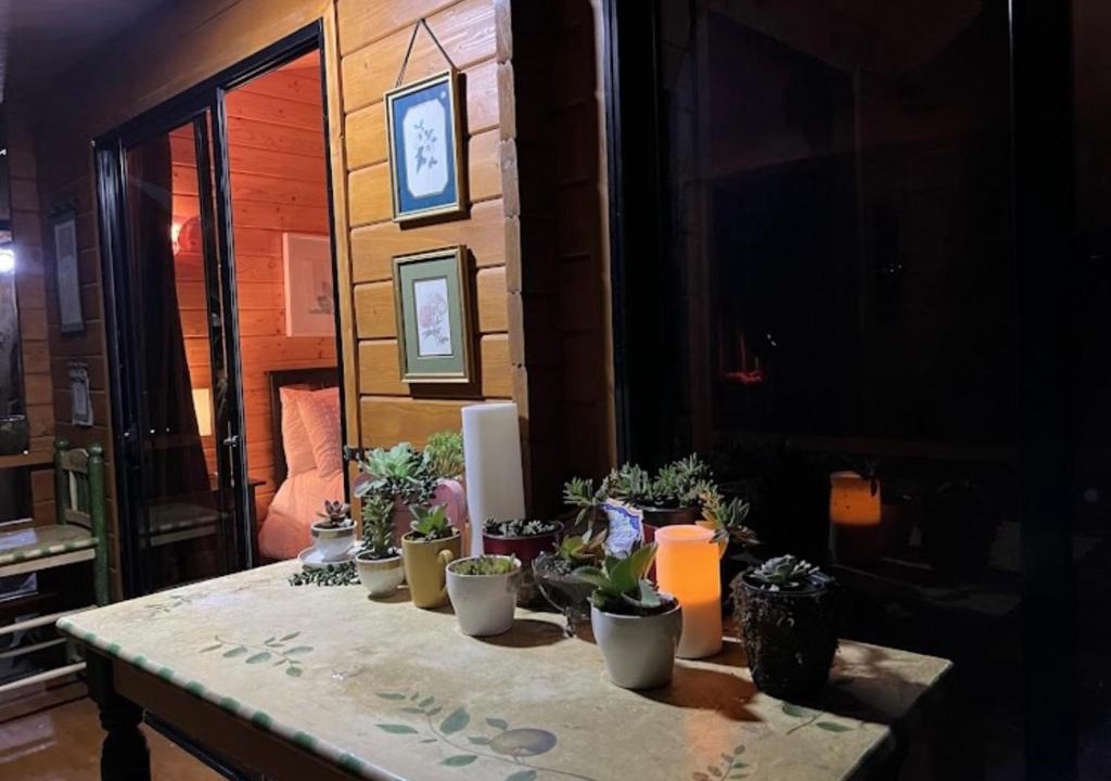 La Joya House | Cabaña Rusa Los Pintores