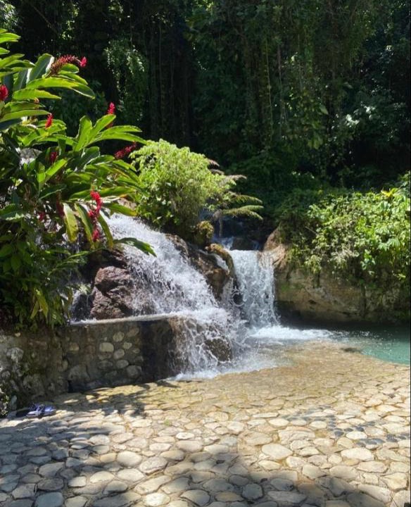 Paraiso Hotel | Hotel Villa Miriam