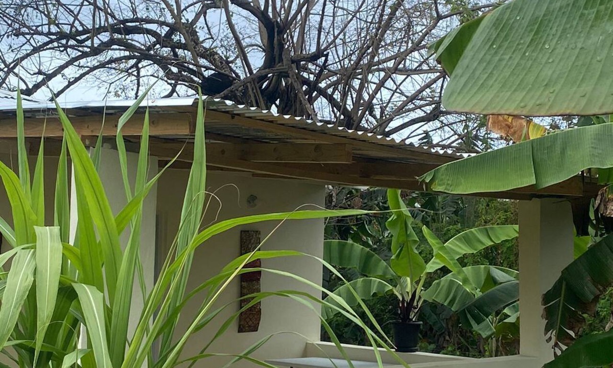 Las Galeras House | THE CONUCO COTTAGE (pet-friendly)