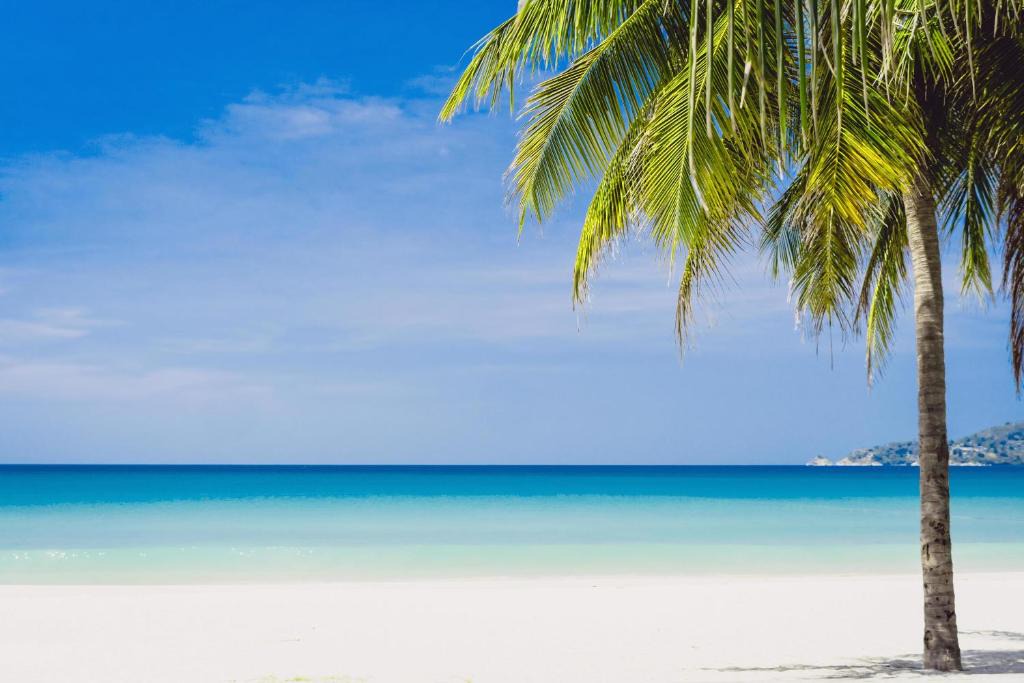 Bavaro Hotel | TROPICAL Dolce Vita HOTEL ROOMS WIFI Swimming POOL BEACH CLUB & SPA