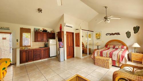 Cabarete Apartment | Ocean Dream Artist Loft 1st See Line