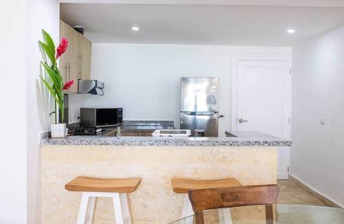 Las Terrenas Apartment | Oceanfront Apartment: Coson Bay, Samana, DR