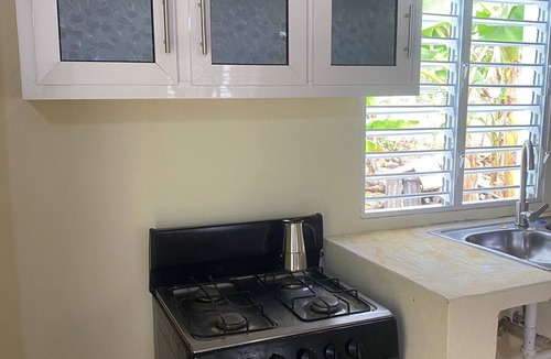 Las Galeras House | THE CONUCO COTTAGE (pet-friendly)