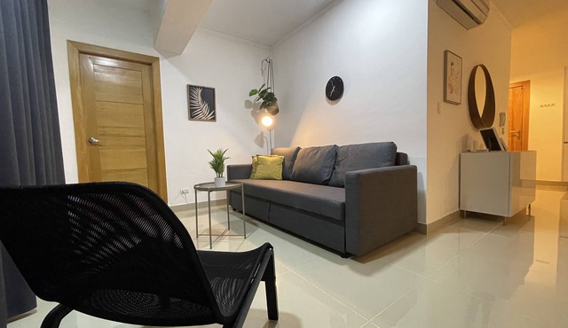 An apartment located in the city center, equipped with all the amenities you need to relax. in santo domingo