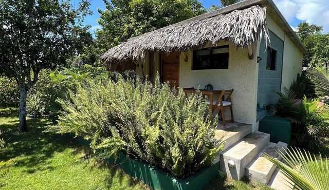 Boho CHIC cottage minutes away from the best beaches of Samana (own cliff). in Samana