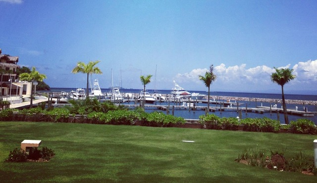 Btfull 3br apt, exceptional view of the ocean at samana bay. Whale watching , in Samana