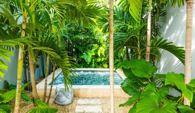 Casa Edén by Luxe Haus™ – Butlered Villa, Staff, Pool, Jacuzzi, Golf Carts in La Romana