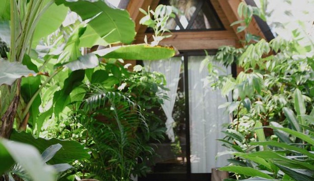 Leisy's Garden Tiny Cabins in El Valle
