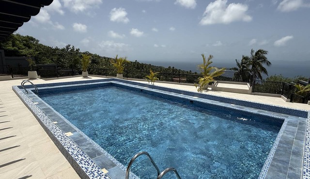 Luxury Ocean View Villa in Samaná Sleeps 20+ with Full Staff - Event Friendly in Samana