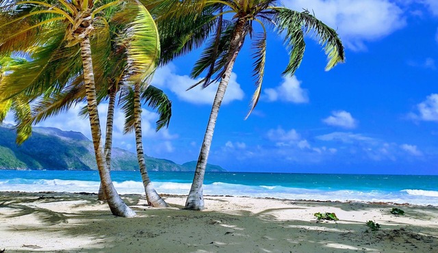 Paradise by the Sea Tropical Private Pool Villa,Playa Coson,6,NEW LIST DISCOUNT in Samana