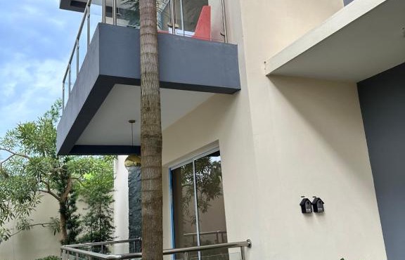 SFMverdana Rental