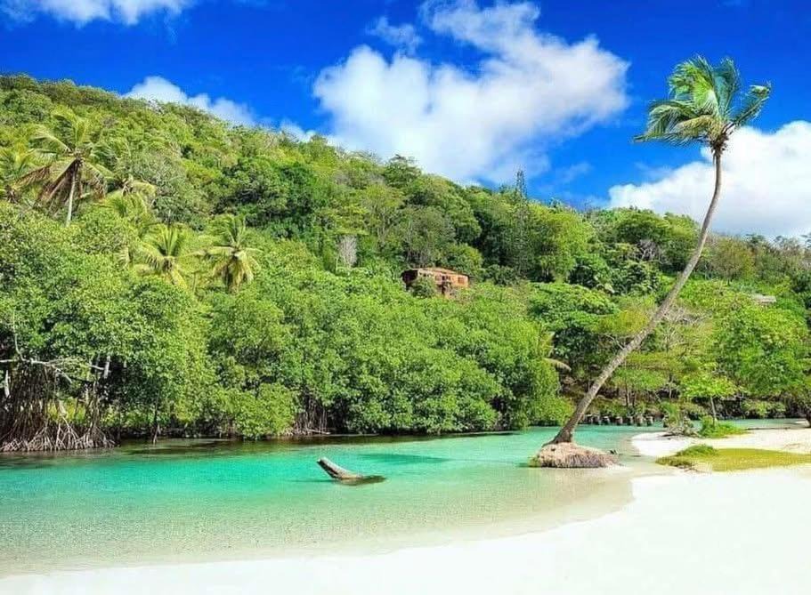 Las Galeras Apartment | Villa Mar En Dreams House - 4 Pax, 2 Min de La Playa