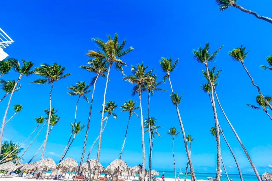 Bavaro Hotel | Caribbean Tropical Suites & Villas - Beach Club, Spa, Restaurants - playa Los Corales