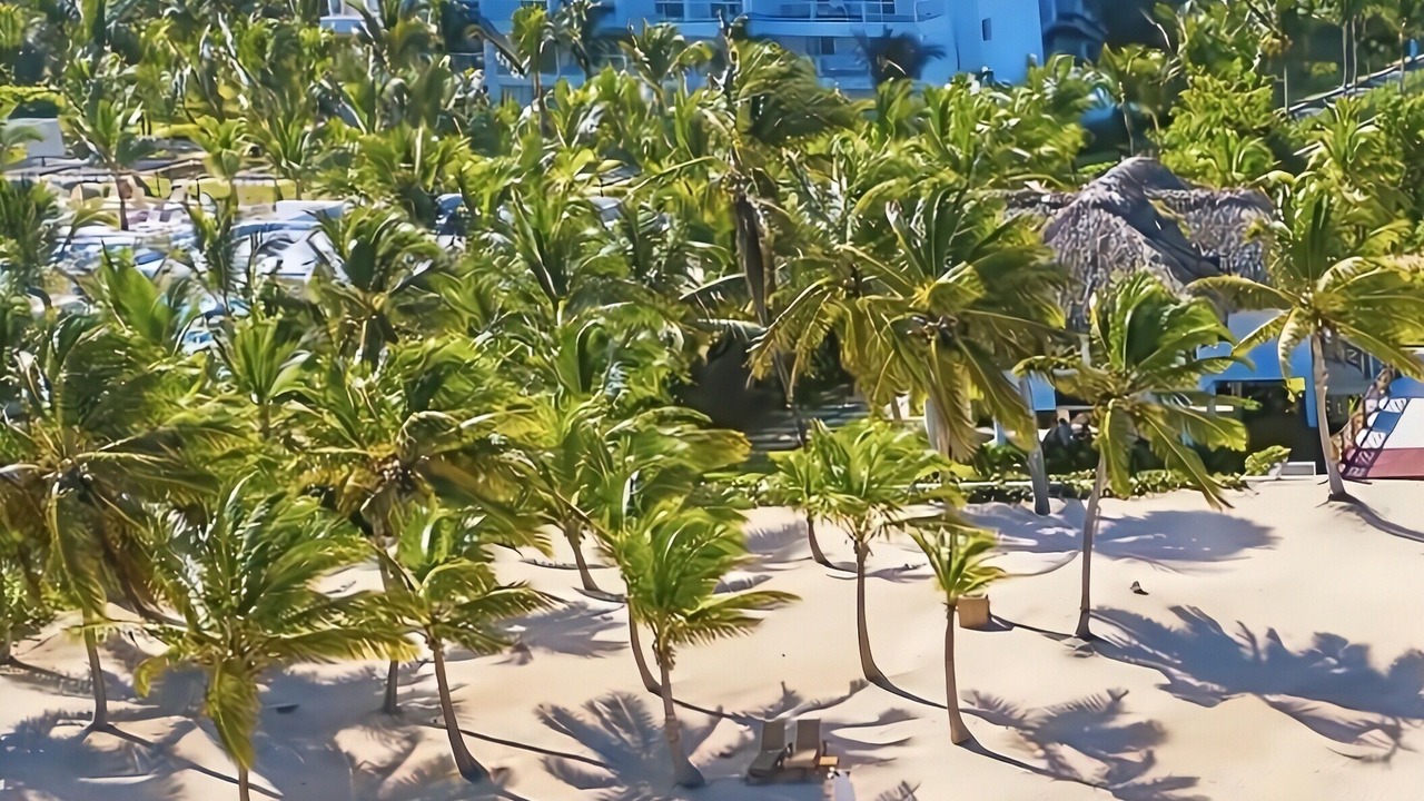 Photo of Others in Bavaro