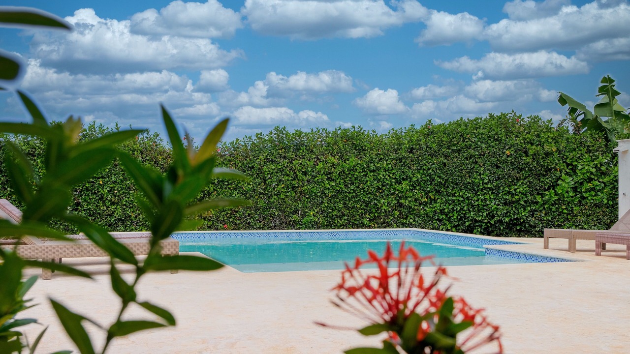 Photo of Outdoor in La Mulata