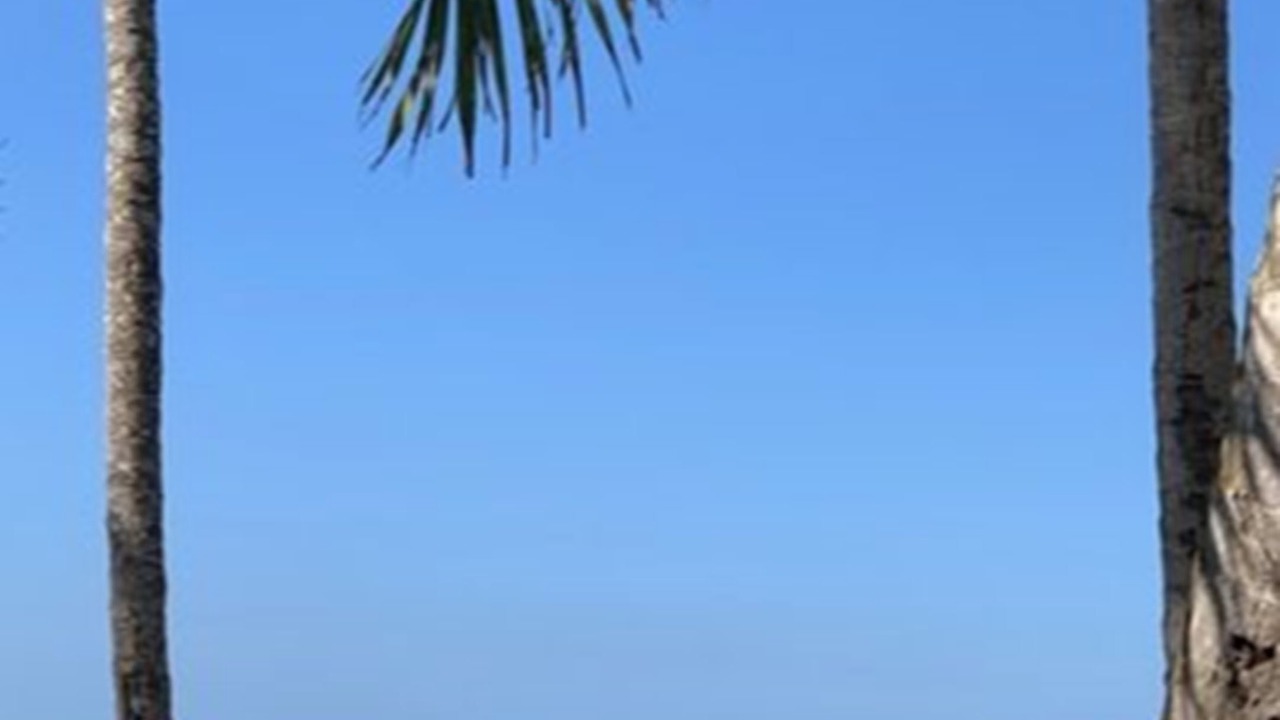 Photo of Others in Las Terrenas
