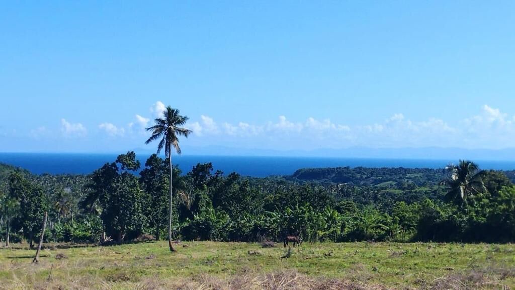 Photo of Outdoor in Las Galeras