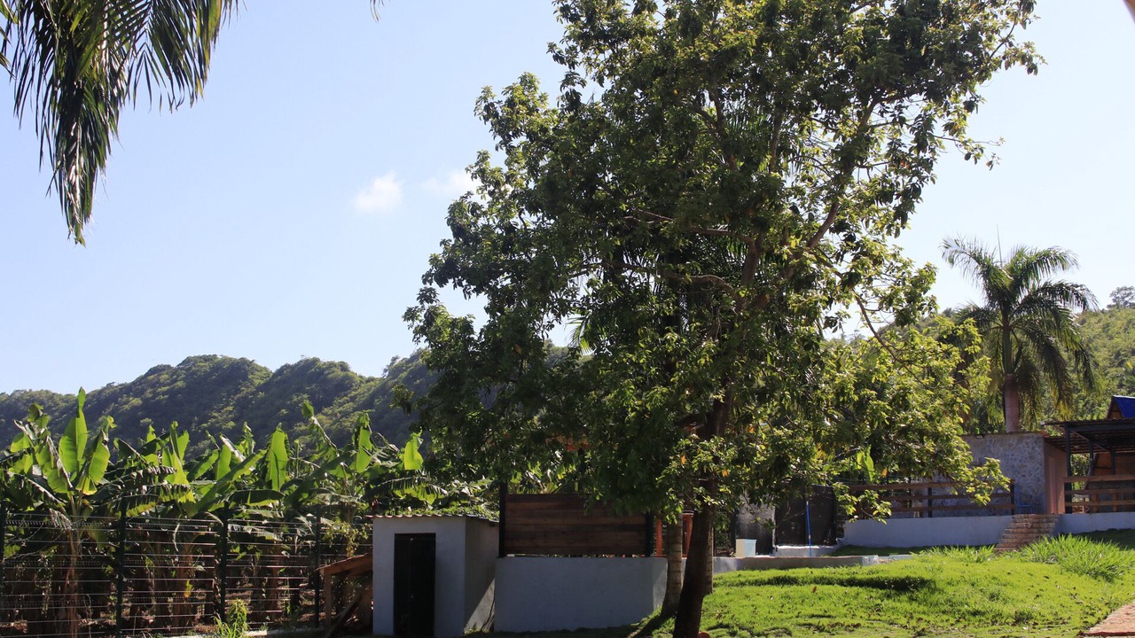 Photo of Outdoor in Las Galeras