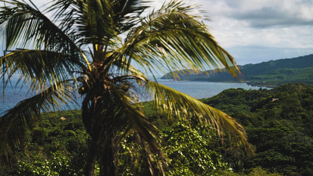 Photo of Outdoor in Las Galeras