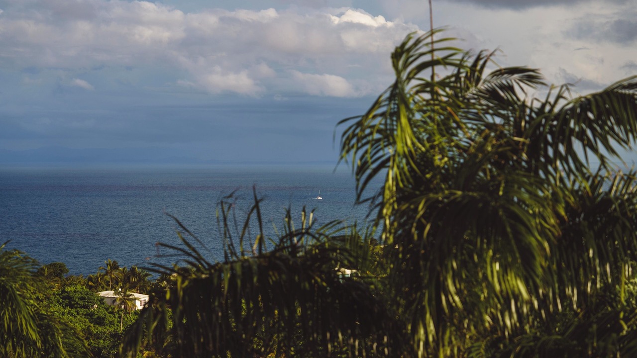 Photo of Outdoor in Las Galeras