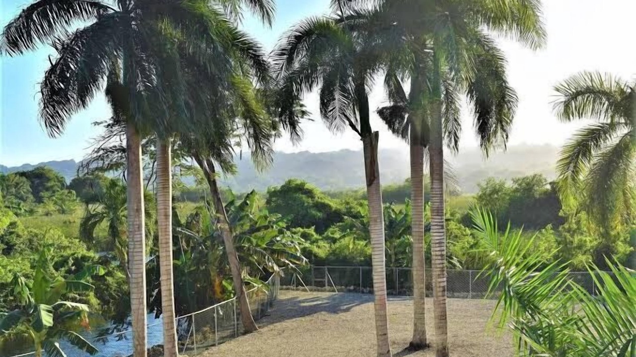 Photo of Outdoor in Cabarete
