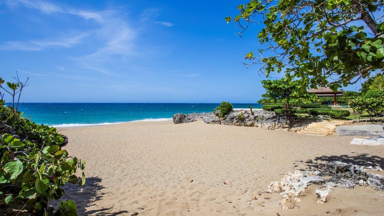 Photo of Others in Playa Chiquita