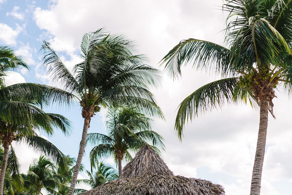 Photo of Others in Dominicus