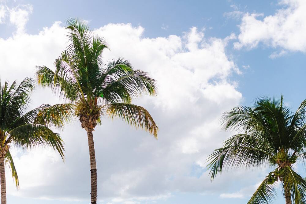 Photo of Outdoor in Dominicus