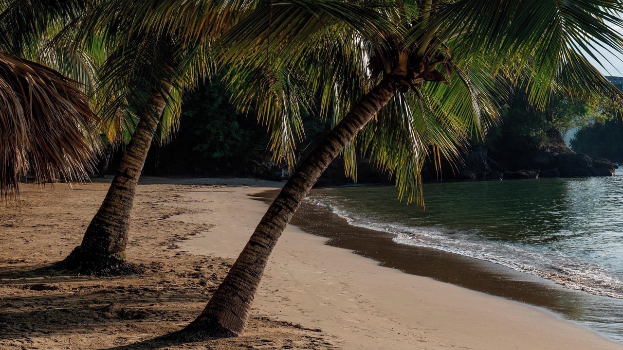 Photo of Others in Samana
