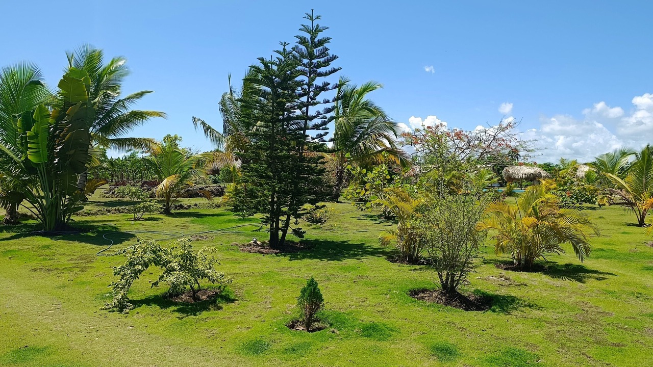 Photo of Outdoor in El Macao