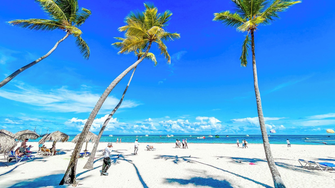 Photo of Others in Bavaro