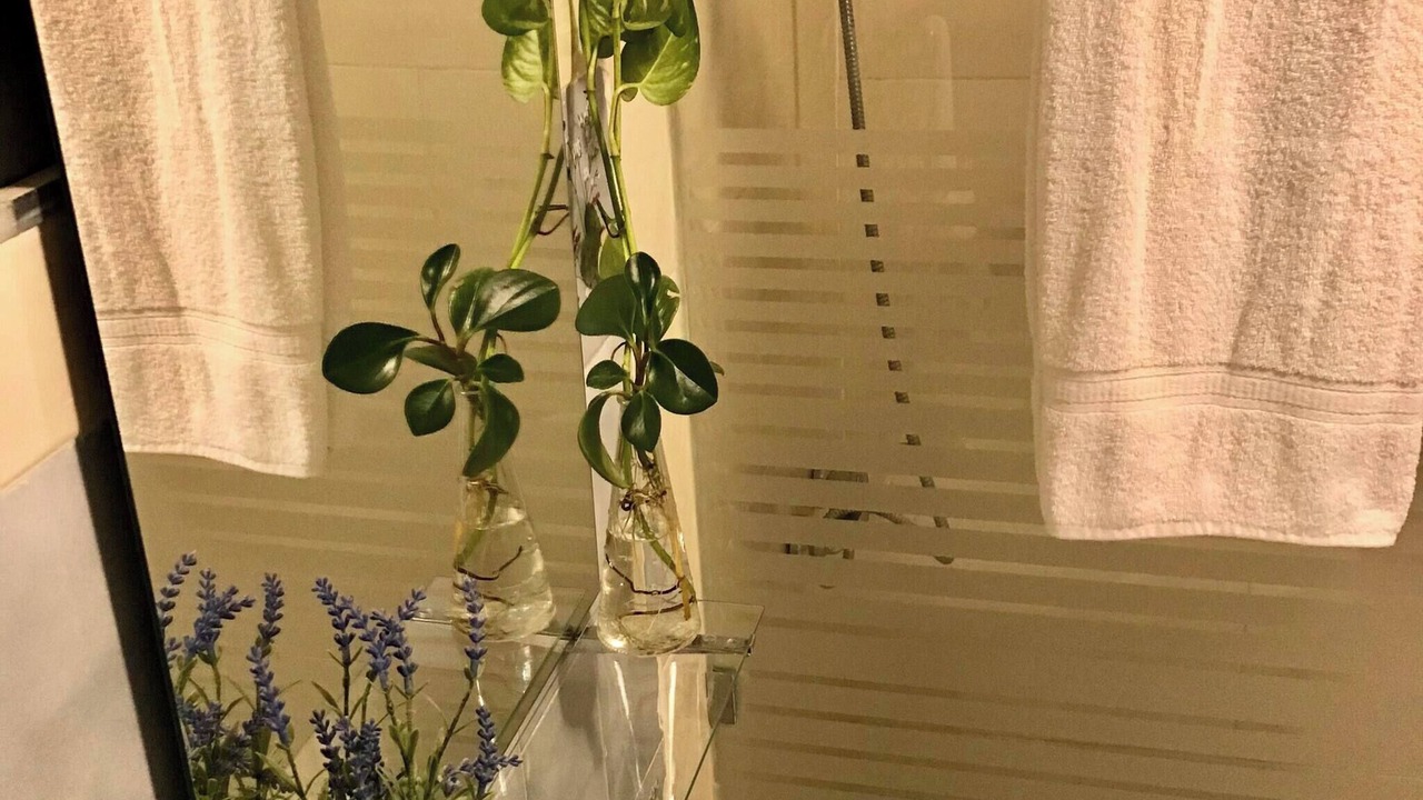 Photo of Bathroom in Alma Rosa
