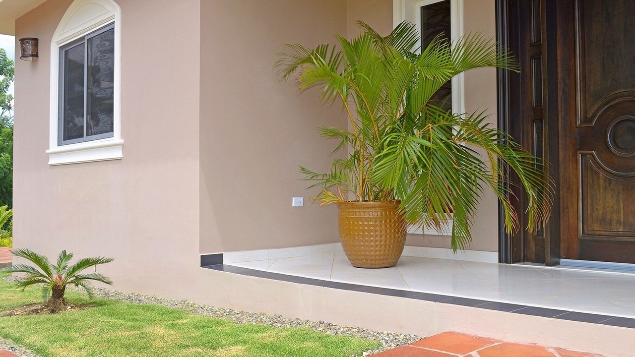 Photo of Outdoor in La Mulata