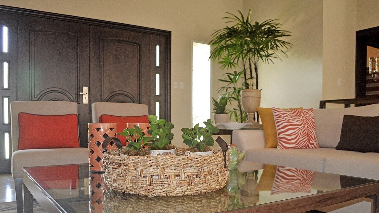 Photo of Livingroom in La Mulata
