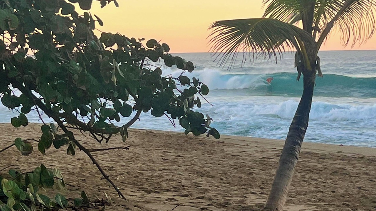 Photo of Others in Cabarete