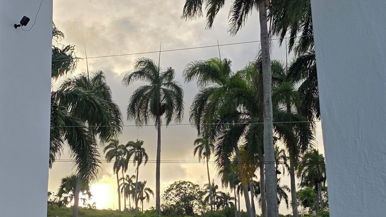Photo of Outdoor in Cabrera