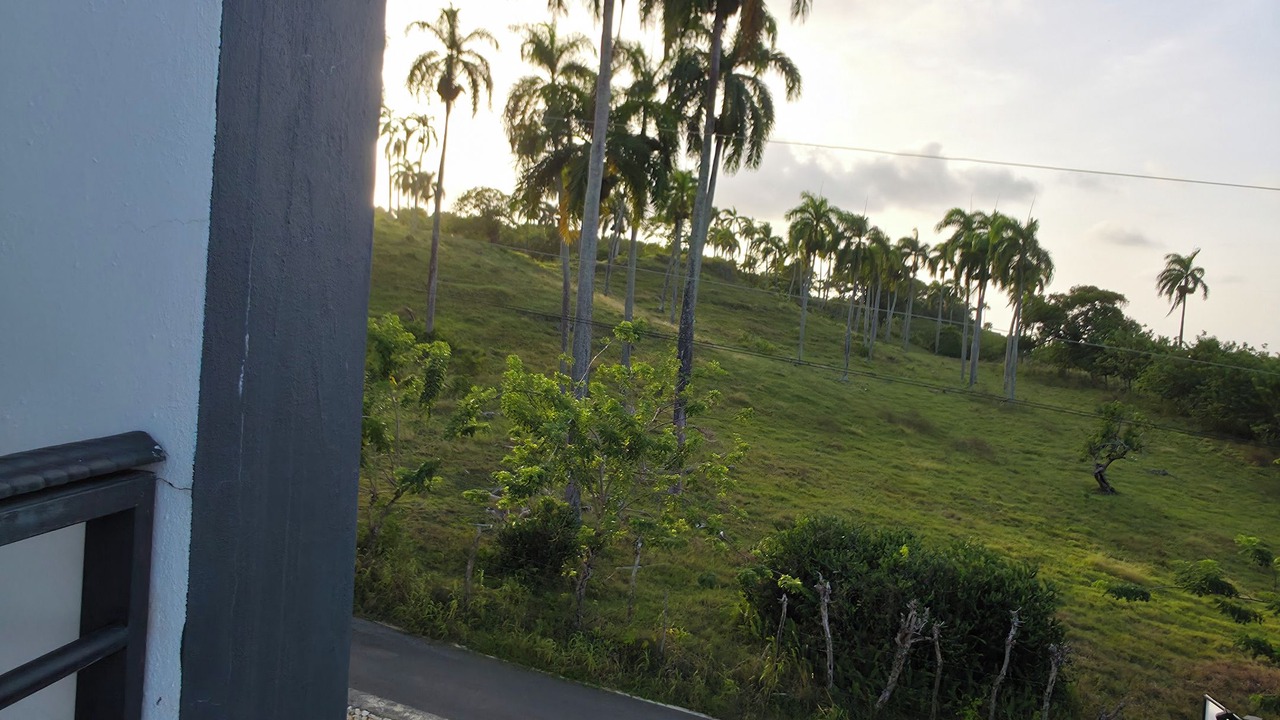 Photo of Others in Cabrera