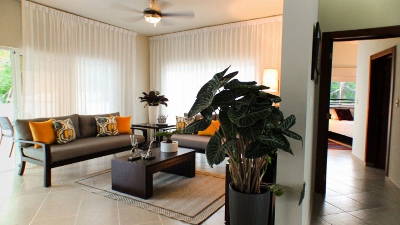 Photo of Livingroom in La Mulata