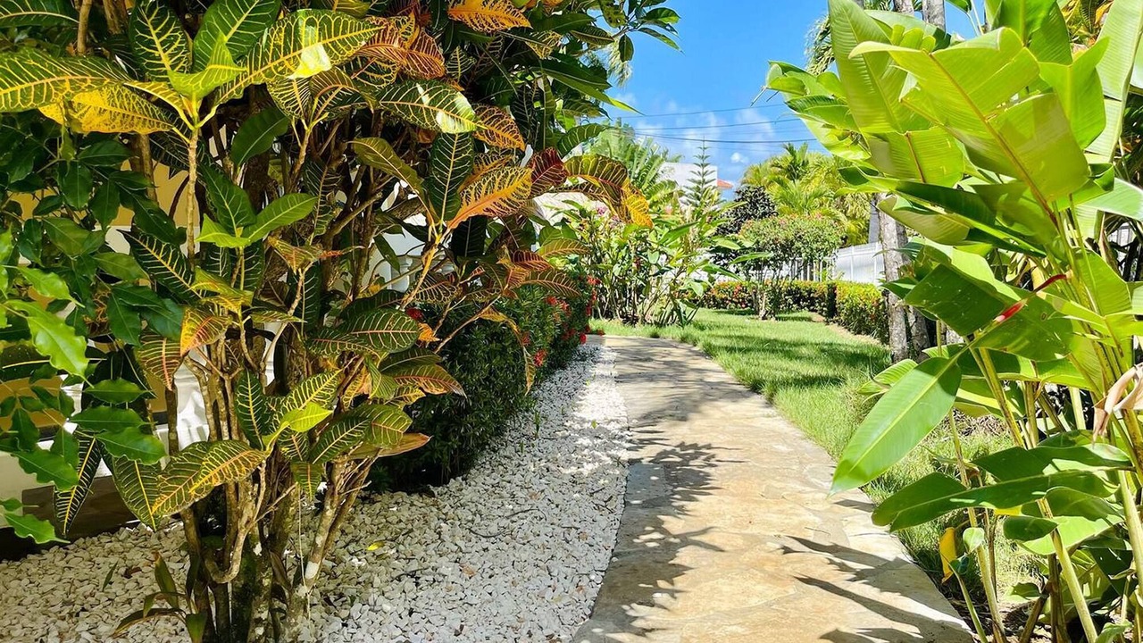 Photo of Outdoor in La Mulata
