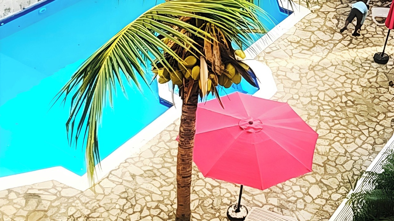 Photo of Outdoor in Bavaro