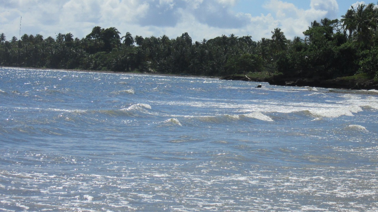 Photo of Others in Puerto Bahia