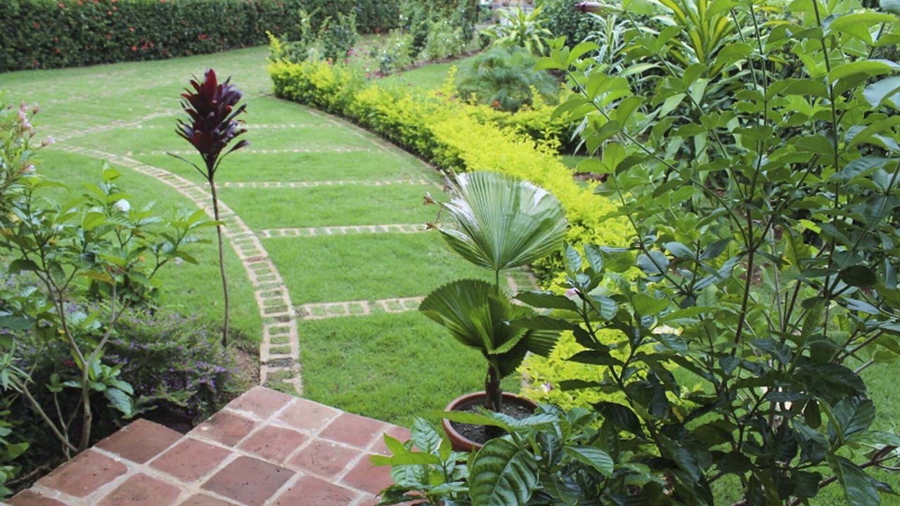 Photo of Outdoor in La Mulata