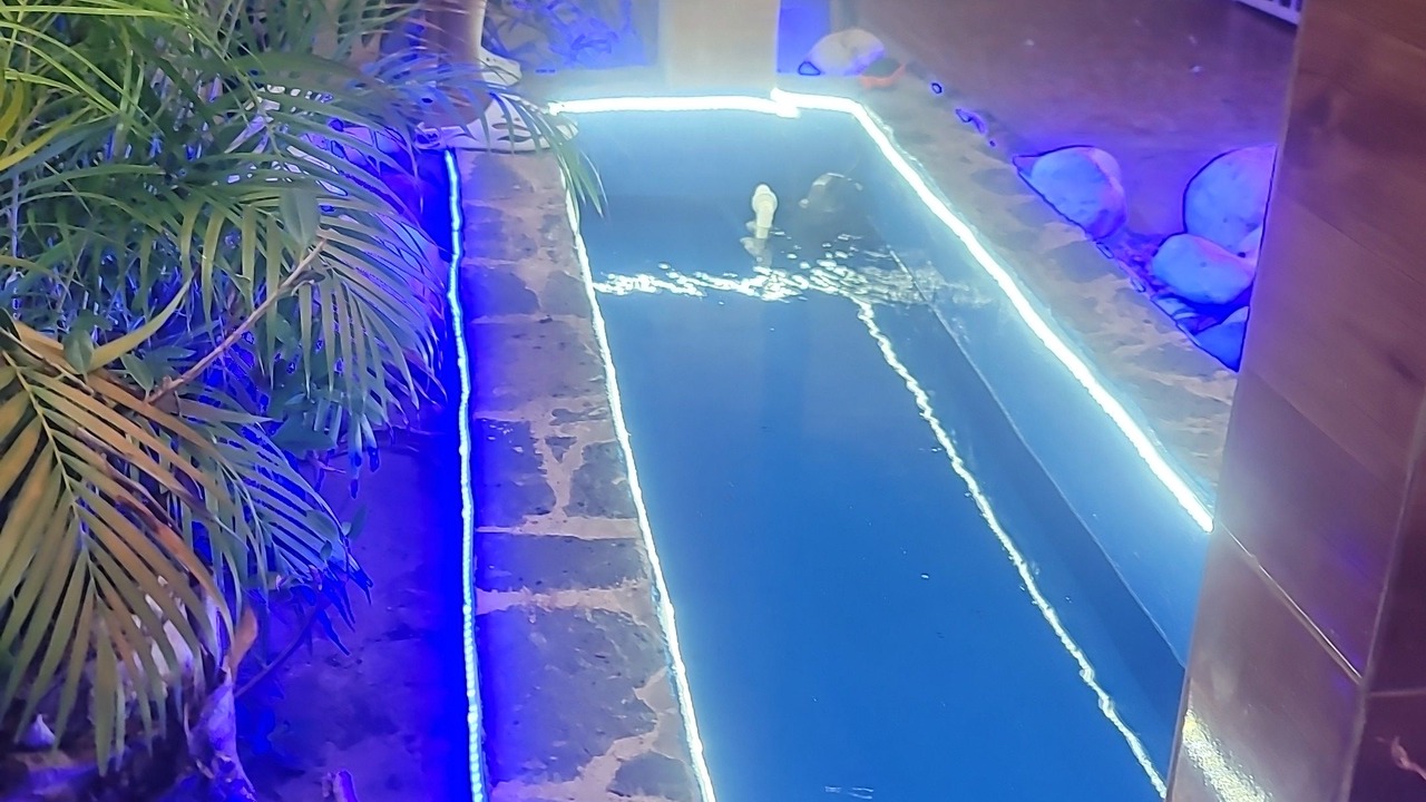 Photo of Others in Boca Chica