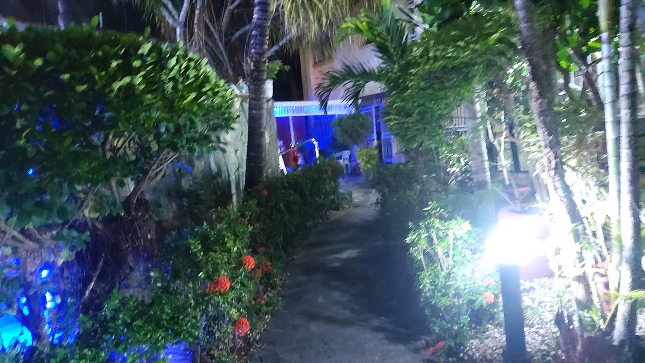Photo of Outdoor in Boca Chica