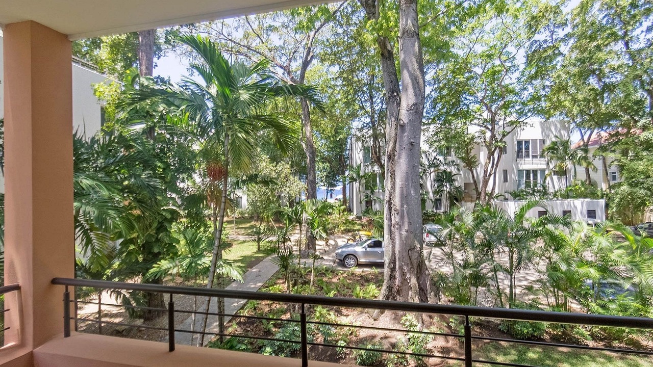 Photo of Outdoor in El Batey