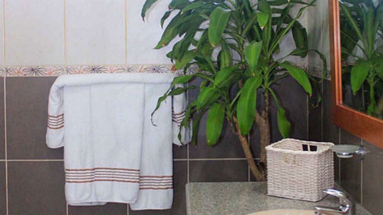 Photo of Bathroom in Urbanizacion Tavarez