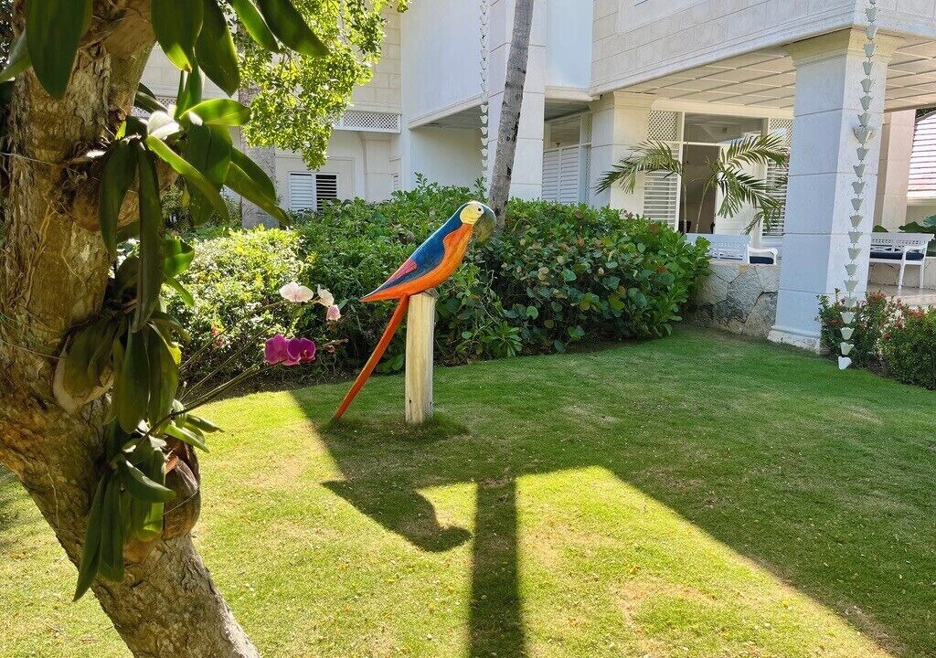 Photo of Outdoor in Punta Cana