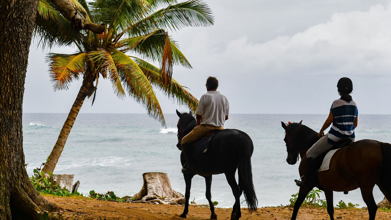 Photo of Others in Cabarete